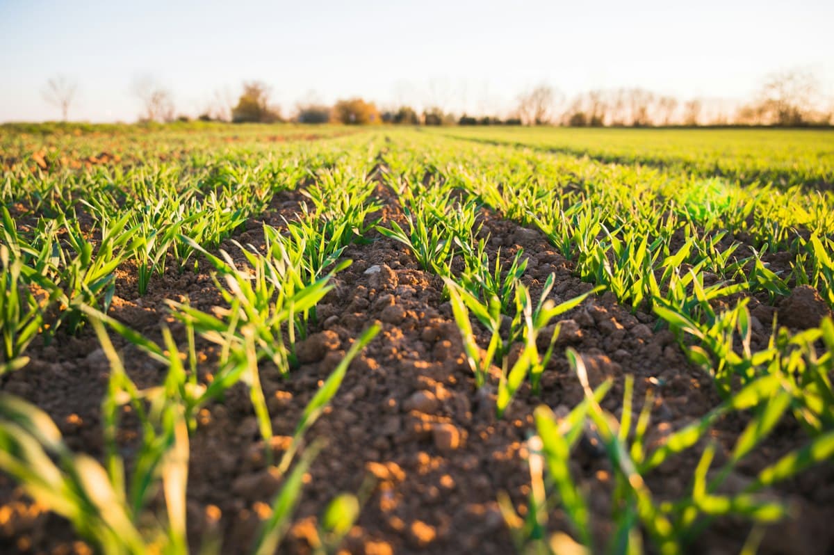 AgroERP — gestión agroindustrial